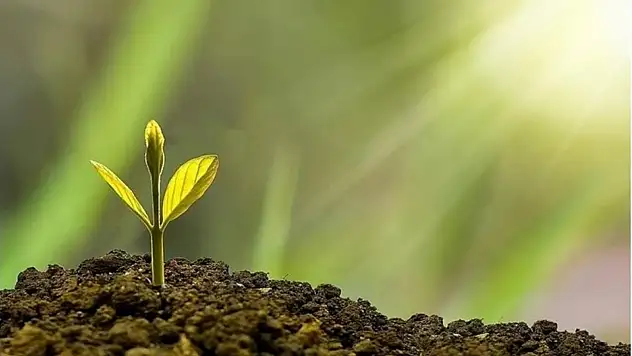 İklim Kanunu nedir?