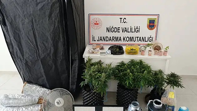 Yasa dışı ekim yapan 4 şüpheli gözaltına alındı