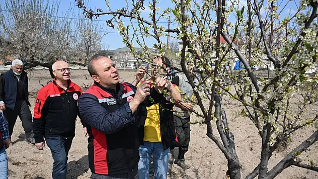 İl Müdürü Saklav Hacılar'daki meyve ağaçlarını inceledi