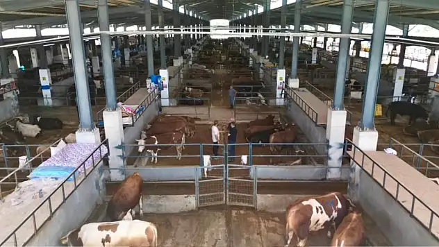 İncesu'da kurban bağış sayıları açıklandı: İşte dikkat çeken ''Teşekkür''