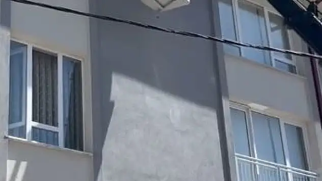 Apartman çatısında mahsur kalan kuş kurtarıldı