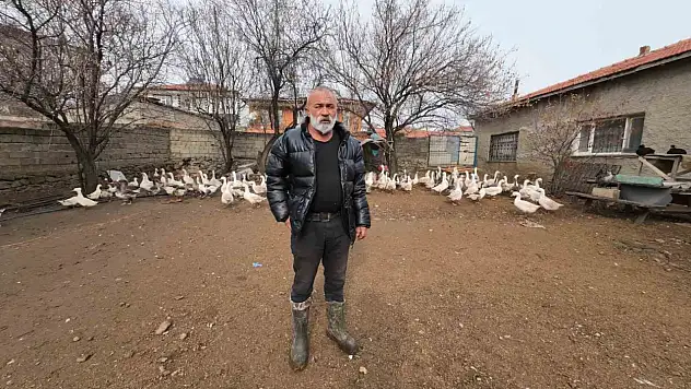 İstanbul'dan memleketine döndü - Binlerce hayvan üreterek geçimini sağlıyor!