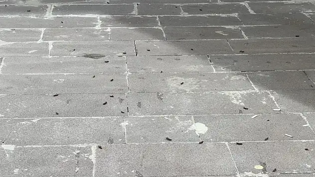 İstiladan Korkuluyordu… - Kayseri'de de Görüldü!