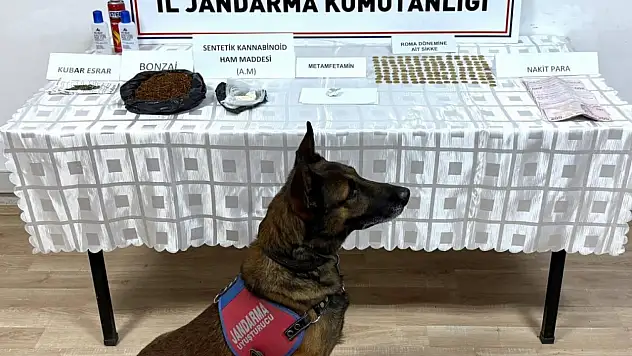 Kayseri'de uyuşturucu operasyonu: 1 gözaltı