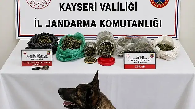 Kayseri'de jandarmadan adrese baskın! Evden bakın neler çıktı
