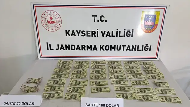 Jandarmadan sahte dolar operasyonu: 1 gözaltı