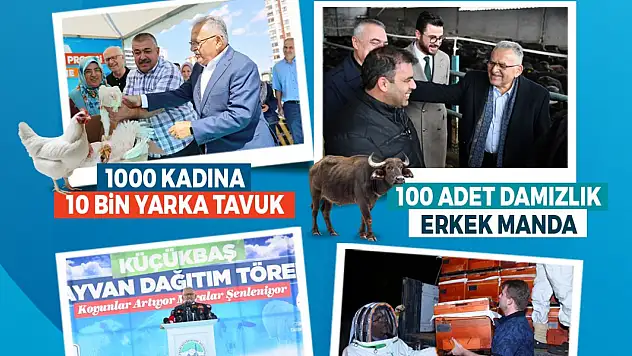Kadın üreticilere binlerce yarka tavuk