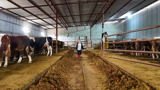 Yapamazsın denilen kadın çiftlik kurdu