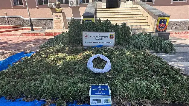 Kahramanmaraş'ta Jandarma Skunk Operasyonu Yaptı