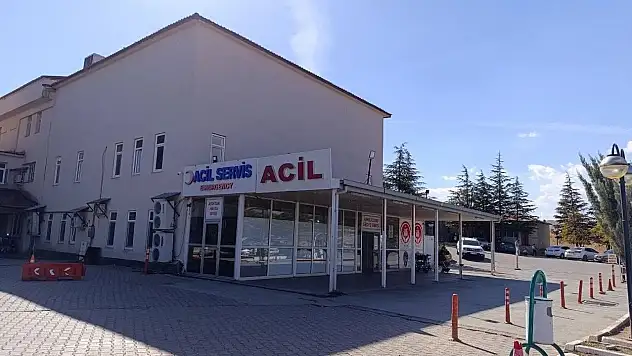 Arı tarafından sokulan çocuk hayatını kaybetti