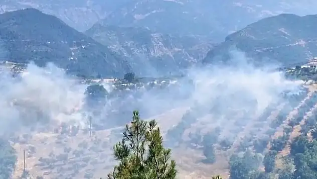 Kahramanmaraş'ta bahçe yangını korkuttu