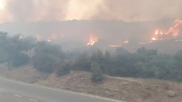 Kahramanmaraş'ta iki ayrı alanda yangın!