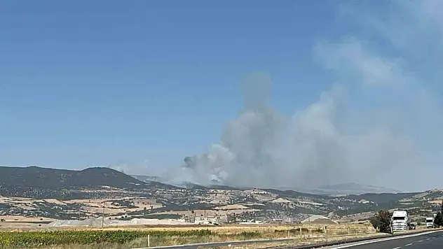 Kahramanmaraş'ta ikinci orman yangını: Ekipler havadan müdahale ediyor!