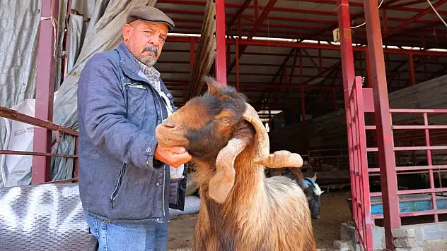 Kahramanmaraş'taki esnaf grubundan Kurban Bayramı öncesi dikkat çeken karar!