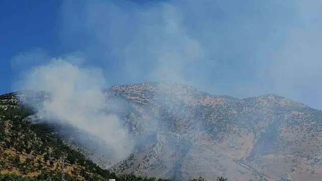 Kahramanmaraş'ta orman yangını etkisini sürdürüyor!