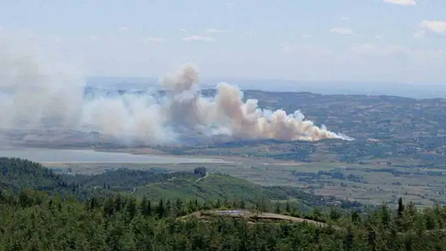 Kahramanmaraş'ta orman yangını: Alevler rüzgarla büyüyor!