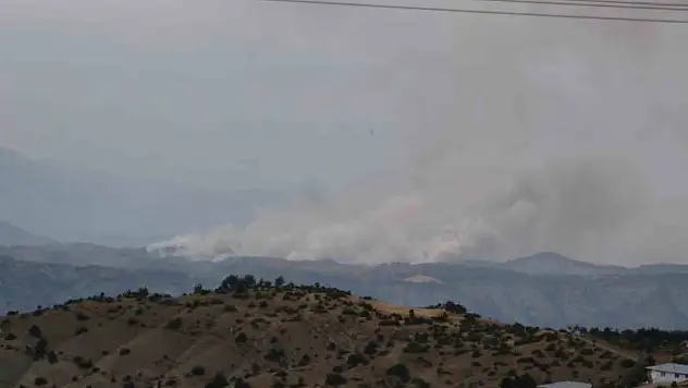 Kahramanmaraş'ta orman yangını: Ekiplerin müdahalesi sürüyor!