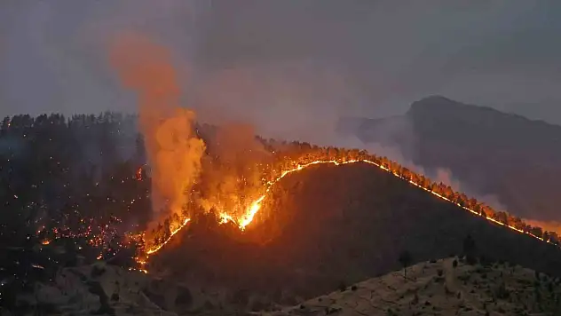 Kahramanmaraş'ta orman yangınına müdahale sürüyor