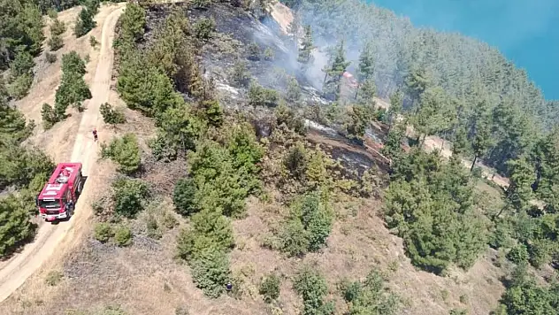 Kahramanmaraş'ta orman yangını!