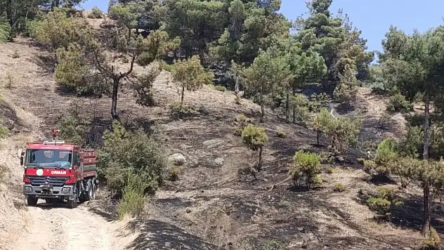 Kahramanmaraş'ta orman yangınına ekiplerden yoğun müdahale