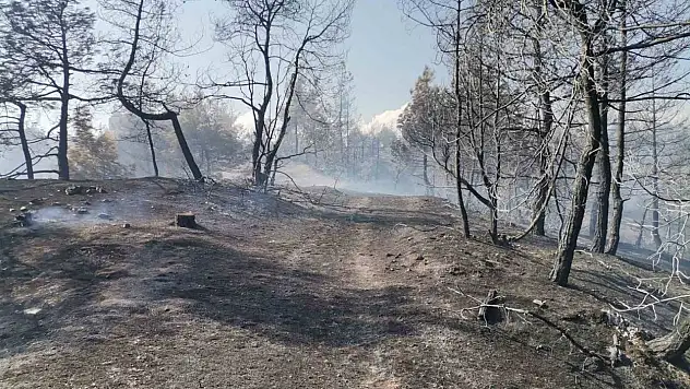 Orman Yangını Kontrol Altına Alınmaya Başladı