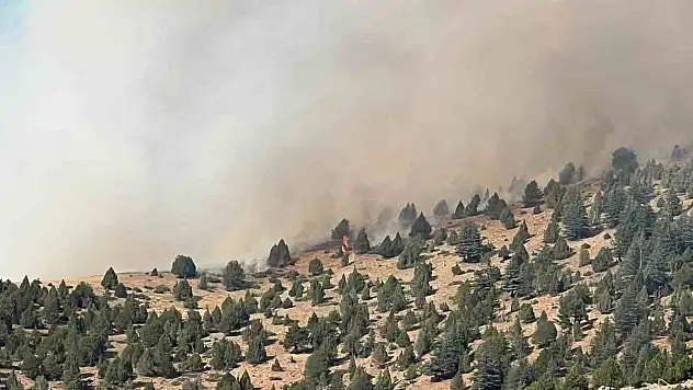 Yangınla mücadele devam ediyor