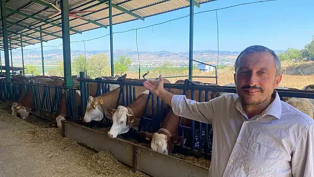Türkiye'de süt üretiminde yeni dönem!