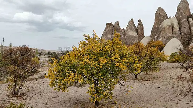 Türkiye'nin dünyaca ünlü bölgesinde görsel şölen! Turistler hayran kaldı