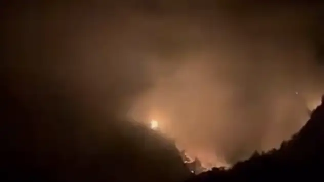 Karaisalı'da ormanlık alanda yangın