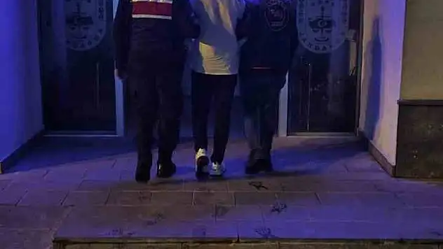 Kriminal Gerçeği Ortaya Çıkardı