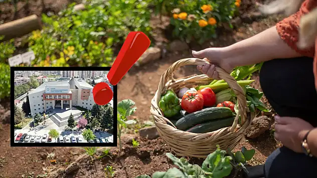 KASKİ'den bağ-bahçesi olanlara uyarı geldi!