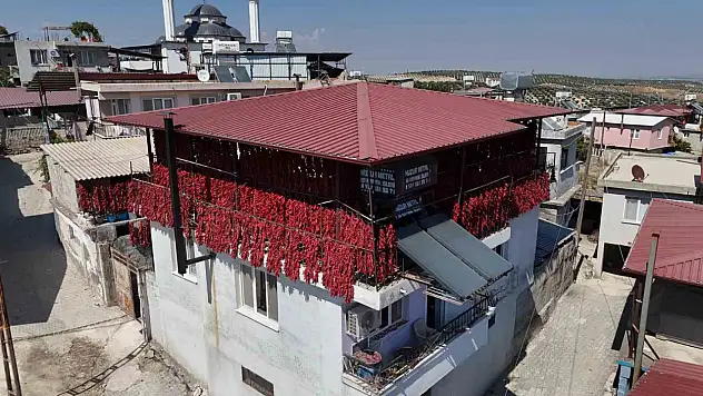Kavurucu sıcakta tek tek ipe dizilen dolmalık acı biberler...