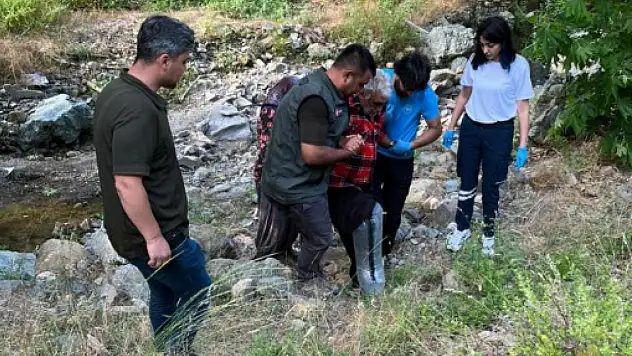 Kayalıklardan düşen şahsı orman ekipleri kurtardı