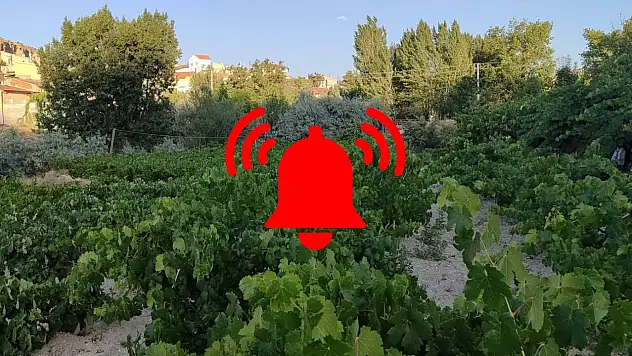 Kayseri bağlarında kırmızı alarm!