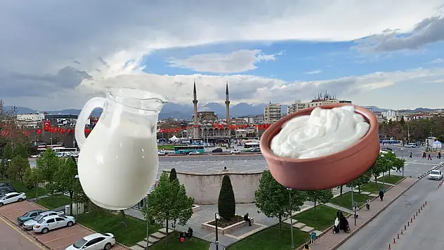 Kayseri bu değişime hazır mı? Süt var yoğurt yok!