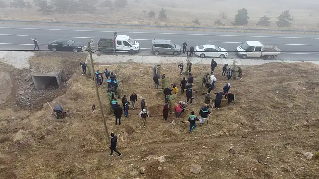 Kayseri Büyükşehir, Yahyalı'da yeşil alanları genişletiyor