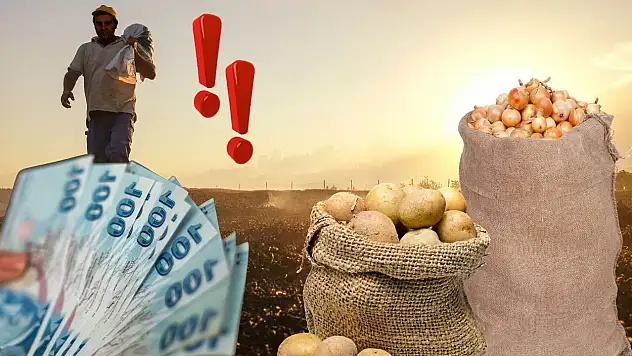 Kayseri çiftçisine müjde! Patates ve soğana altın destek!