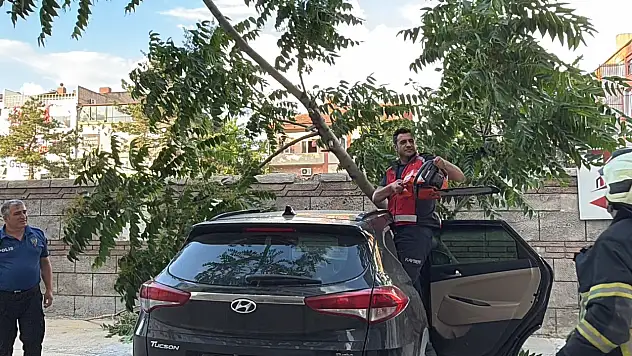 Kayseri'de ağaç aracın üzerine devrildi