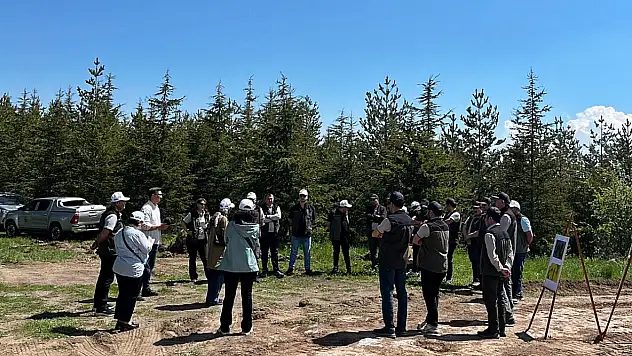 Kayseri dahil 5 ilde bu sefer orman yolları için harekete geçildi!