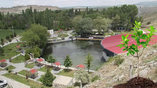 Kayseri'de 1 milyon metrekarelik alanda doğa seferberliği başlıyor