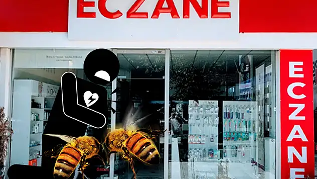 Kayseri'de 14 nöbetçi eczane açık olacak – Arı sokmasından doğan ölümler