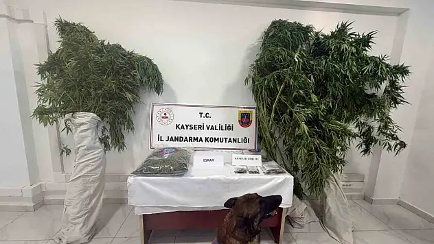 Kayseri'de 15 yıl kesinleşmiş hapis cezasıyla aranan şahıs yakalandı