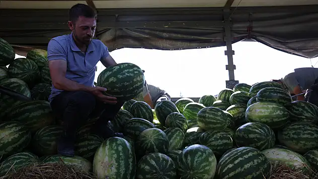 Kayseri'de 17 ton karpuz dağıtıldı!
