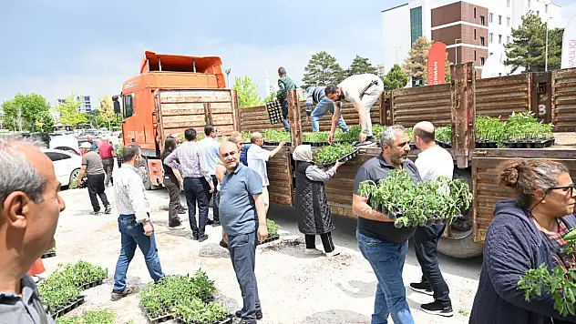 Kayseri'de 30 bin domates ve biber fidesi dağıtıldı