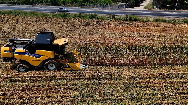 Kayseri'de 30 yıl önce yoktu, şimdi 500 bin tona ulaştı!