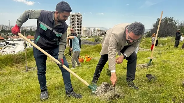 Kayseri'de 300 fidan toprakla buluştu