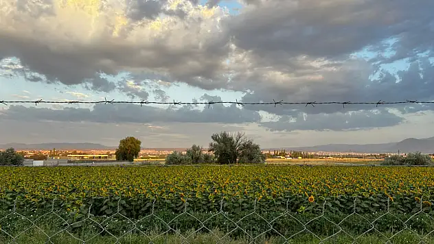 Kayseri'de 4 bin TL'ye toprak sahibi olma fırsatı!