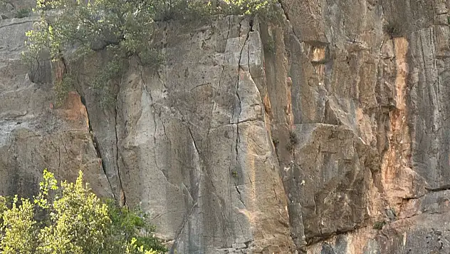 Kayseri'de 4 keçi 100 metrelik uçurumdan alındı