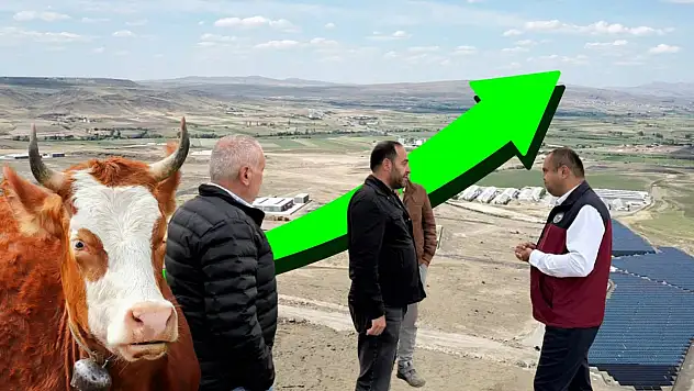 Kayseri'de 500 işletme, 100 bin ton et üretimi, 20 bin istihdam...: Beydeğirmeni Bölgesi Büyüyor!