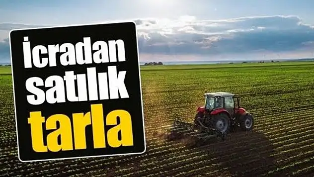 Kayseri'de 51 bin metrekarelik tarla icradan satışa çıkarıldı